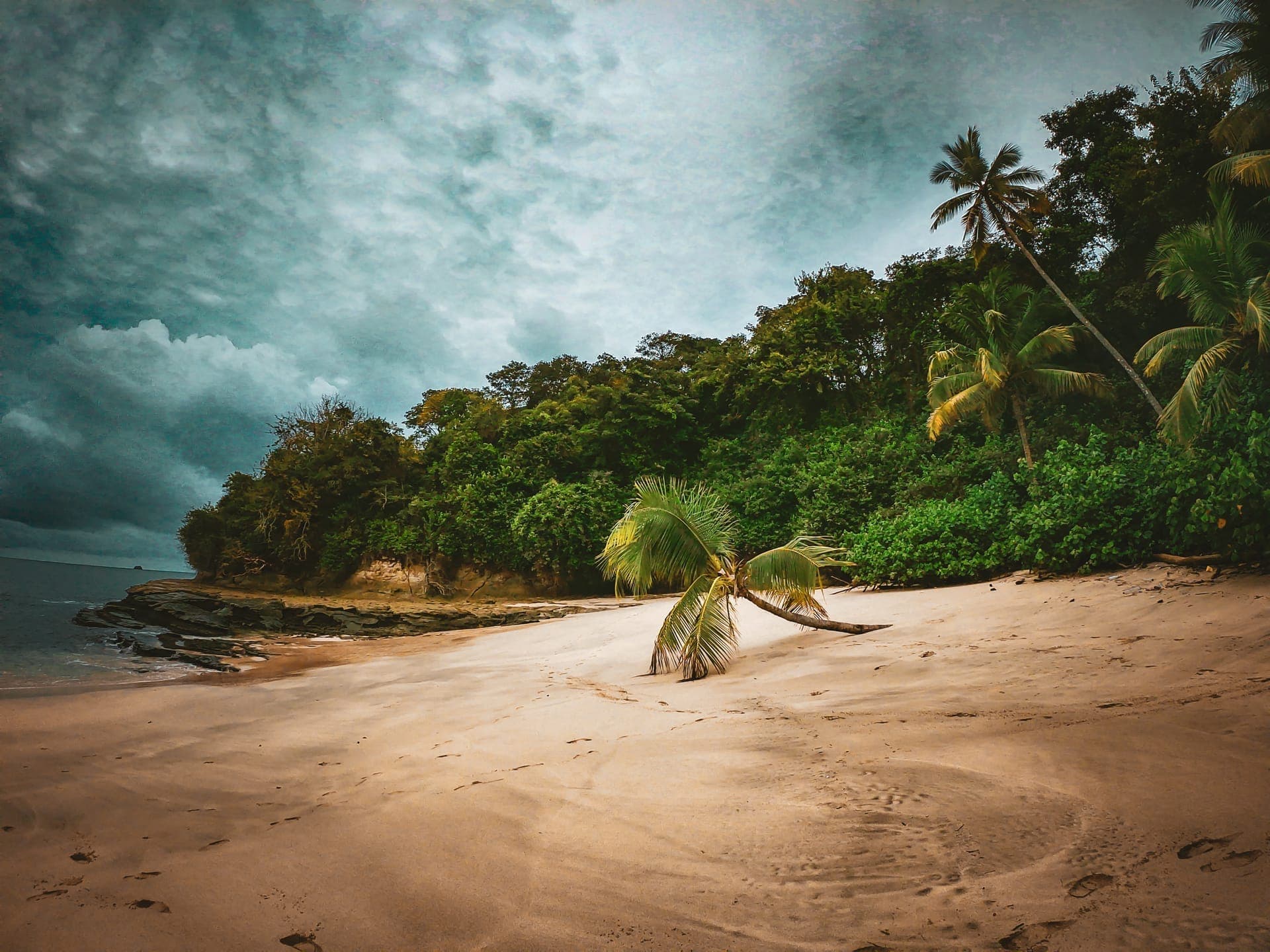 Nature 6